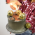p4.png